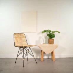 Calathea Orbifolia Et Son Panier Naturel - H40cm, ø14 Cm - Plante D'intérieur -Flora Soldes 0a1d4522cdd0a9fb