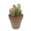 Cactus Columnari H25cm Pot D16cm -Flora Soldes 1024300 1470400