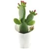 Opuntia Inamoena (ou Tacinga Inamoena) - Pot D14cm -Flora Soldes 1024867 1471930