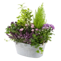 Composition D’Automne : Bassine Zinc, Ø 30 cm - - Coloris Variables -Flora Soldes 199534 010