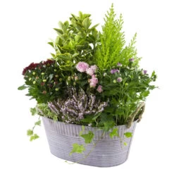 Composition D’Automne : Bassine Zinc, Ø 30 cm - - Coloris Variables -Flora Soldes 199534 011