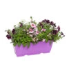 Jardinière D'annuelles : Variétés Variables -Flora Soldes 386038 001
