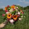 Bouquet Summer -Flora Soldes 3b2fb33120c38111