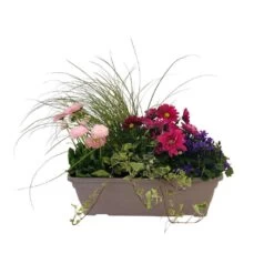 Jardinière De Bisannuelles Et Vivaces 40 Cm - Coloris Variables -Flora Soldes 417571 004