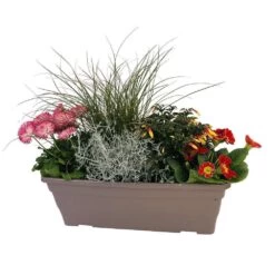 Jardinière De Bisannuelles Et Vivaces 40 Cm - Coloris Variables -Flora Soldes 417571 005