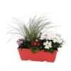 Jardinière De Bisannuelles Et Vivaces 40 Cm - Coloris Variables -Flora Soldes 417571 006