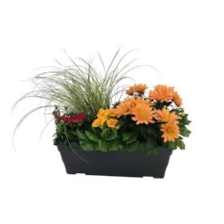 Jardinière De Bisannuelles Et Vivaces 40 Cm - Coloris Variables -Flora Soldes 417571 007