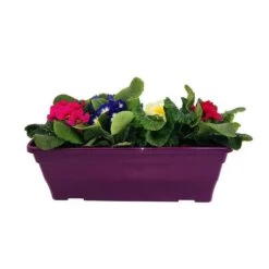 Primevères En Jardinière De 40cm Couleur - Coloris Variables -Flora Soldes 440466 010
