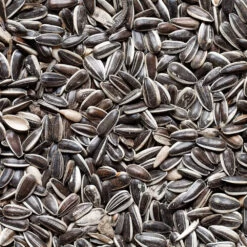 Graines De Tournesol Pour Oiseaux Du Jardin - 20 Kg -Flora Soldes 486351 003