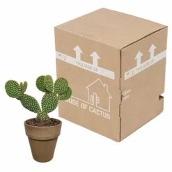 Opuntia Microdasys Et Son Cache-pot Marron - H40cm, ø17cm - Plante D'intérieur -Flora Soldes 48d55715481eec9b