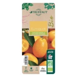 Kumquat : Ctr 3 Litres, Agriculture Biologique -Flora Soldes 493534 006 1