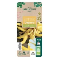 Main De Bouddah:AB Conteneur 3 Litres -Flora Soldes 493536 006 1