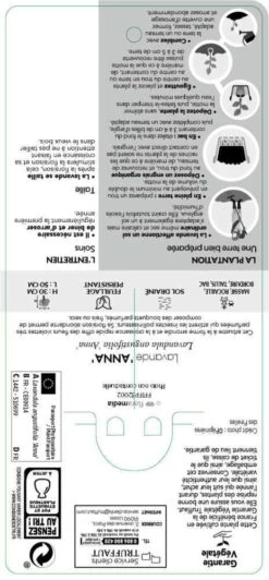 Lavandula Angustifolia Anna : C. 3L -Flora Soldes 510699 005