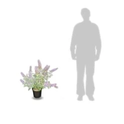 Arbre Aux Papillons Davidii Lochinch/pot De 7,5l - 60/80 Cm -Flora Soldes 63f4b609315102.48815059