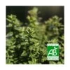 Thym Panaché Foxley Bio/lot De 3 Godets -Flora Soldes 63f4ef8a747d51.35509339