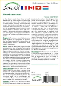 Kit De Culture - Fleur Chauve-souris - 10 Graines - Tacca Chantrieri -Flora Soldes 64063aa2e09686.92559263