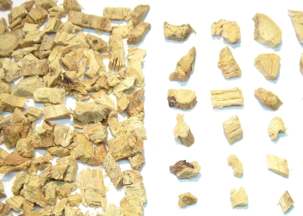 Kit De Culture - Réglisse Glabre - 30 Graines - Glycyrrhiza Glabra 6 Kit De Culture - Réglisse Glabre - 30 Graines - Glycyrrhiza Glabra - Image 4