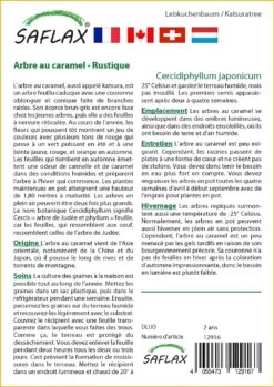 Kit De Culture - Arbre Au Caramel - 200 Graines - Cercidiphyllum Japonicum 11 Kit De Culture - Arbre Au Caramel - 200 Graines - Cercidiphyllum Japonicum -Flora Soldes 64064132c9d4c4.04855019