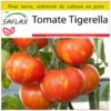 Kit De Culture - Tomate Tigerella - 10 Graines - Lycopersicon Esculentum 1 Kit De Culture - Tomate Tigerella - 10 Graines - Lycopersicon Esculentum -Flora Soldes 64064139be26e2.18105117