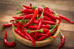 Kit De Culture - Bio - Piment - De Cayenne Long Slim - 10 Graines - Capsicum Annuum 15 Kit De Culture - Bio - Piment - De Cayenne Long Slim - 10 Graines - Capsicum Annuum -Flora Soldes 64064142d0d4f2.63224615