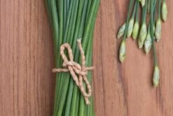 Kit De Culture - Bio - Ciboulette De Chine - 100 Graines - Allium Tuberosum -Flora Soldes 6406414b24e430.90625062