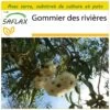 Kit De Culture - Gommier Des Rivières - 200 Graines - Eucalyptus Camaldulensis -Flora Soldes 6406416156ee69.95099741