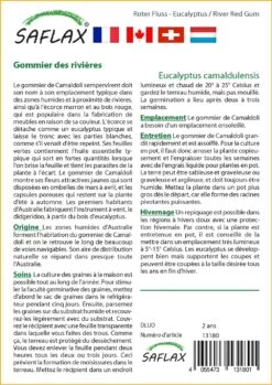 Kit De Culture - Gommier Des Rivières - 200 Graines - Eucalyptus Camaldulensis 11 Kit De Culture - Gommier Des Rivières - 200 Graines - Eucalyptus Camaldulensis -Flora Soldes 640641615bee86.32114836