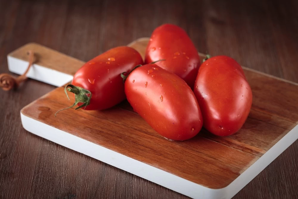 Kit De Culture - Bio - Tomate - San Marzano - 15 Graines - Solanum Lycopersicum 9 Kit De Culture - Bio - Tomate - San Marzano - 15 Graines - Solanum Lycopersicum - Image 7