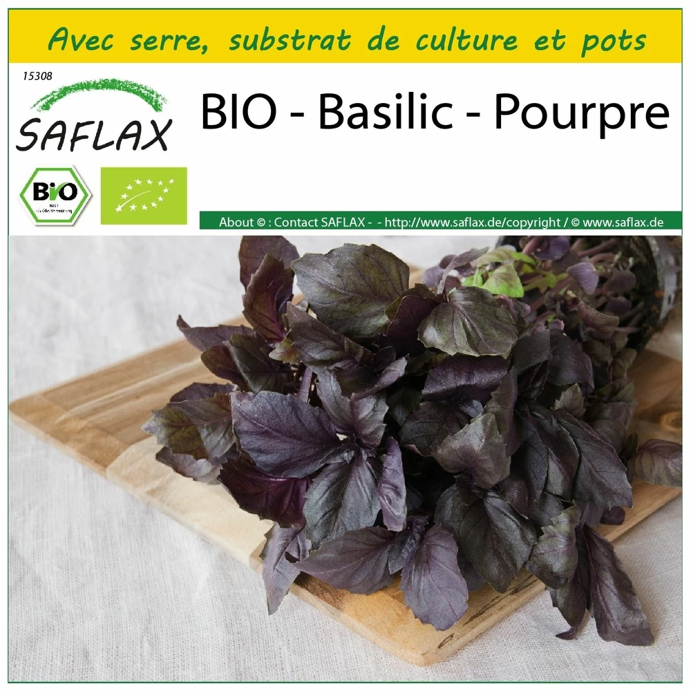 Kit De Culture - Bio - Basilic - Pourpre - 400 Graines - Ocimum Basilicum 3 Kit De Culture - Bio - Basilic - Pourpre - 400 Graines - Ocimum Basilicum