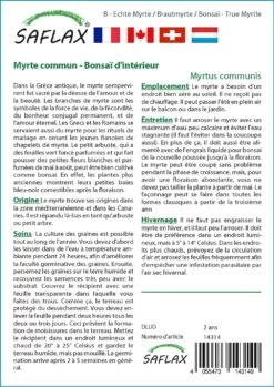 Kit De Culture - Myrte Commun - 30 Graines - Myrtus Communis 8 Kit De Culture - Myrte Commun - 30 Graines - Myrtus Communis -Flora Soldes 640641b38ab843.99066445