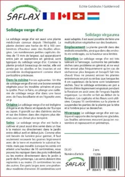 Kit De Culture - Solidage Verge D'or - 100 Graines - Solidago Virgaurea 8 Kit De Culture - Solidage Verge D'or - 100 Graines - Solidago Virgaurea -Flora Soldes 640641b4d55022.73382482