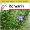Kit De Culture - Romarin - 100 Graines - Rosmarinus Officinalis -Flora Soldes 640641bc616d86.74543982