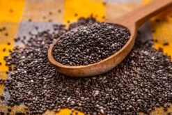 Kit De Culture - Bio - Sauge - 60 Graines - Salvia Officinalis 15 Kit De Culture - Bio - Sauge - 60 Graines - Salvia Officinalis -Flora Soldes 640641bf510530.24887861