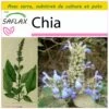 Kit De Culture - Chia - 500 Graines - Salvia Hispanica -Flora Soldes 640641c58004a2.52147519