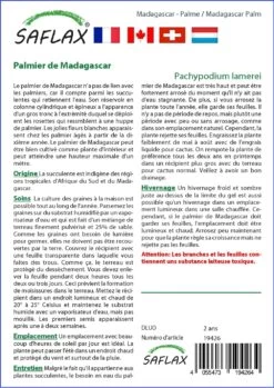 Kit De Culture - Palmier De Madagascar - 10 Graines - Pachypodium Lamerei 11 Kit De Culture - Palmier De Madagascar - 10 Graines - Pachypodium Lamerei -Flora Soldes 640641c714a995.97409461