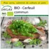 Kit De Culture - Bio - Cerfeuil Commun - 800 Graines - Anthriscus Cerefolium -Flora Soldes 640641c89caba6.91074141