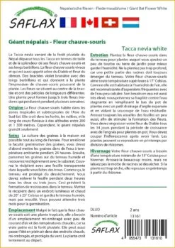 Kit De Culture - Géant Népalais - Fleur Chauve-souris - 10 Graines - Tacca Nevia White 8 Kit De Culture - Géant Népalais - Fleur Chauve-souris - 10 Graines - Tacca Nevia White -Flora Soldes 640641cb3c2931.45314096