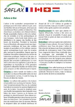 Kit De Culture - Arbre à Thé - 400 Graines - Melaleuca Alternifolia -Flora Soldes 640641cc772c91.95778072