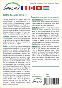 Kit De Culture - Erable Du Japon Pourpre - 20 Graines - Acer Palmatum Atropurpureum 11 Kit De Culture - Erable Du Japon Pourpre - 20 Graines - Acer Palmatum Atropurpureum -Flora Soldes 640641d837b750.91534800