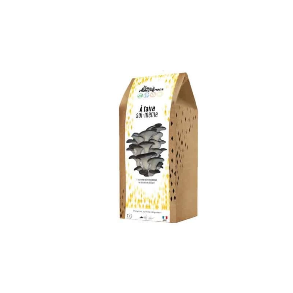Kit Champignons Boite à Faire Soi-même 3 Kit Champignons Boite à Faire Soi-même