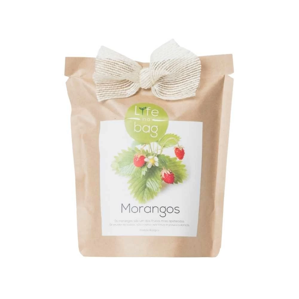 Kit Bio Prêt à Pousser Fraise 3 Kit Bio Prêt à Pousser Fraise