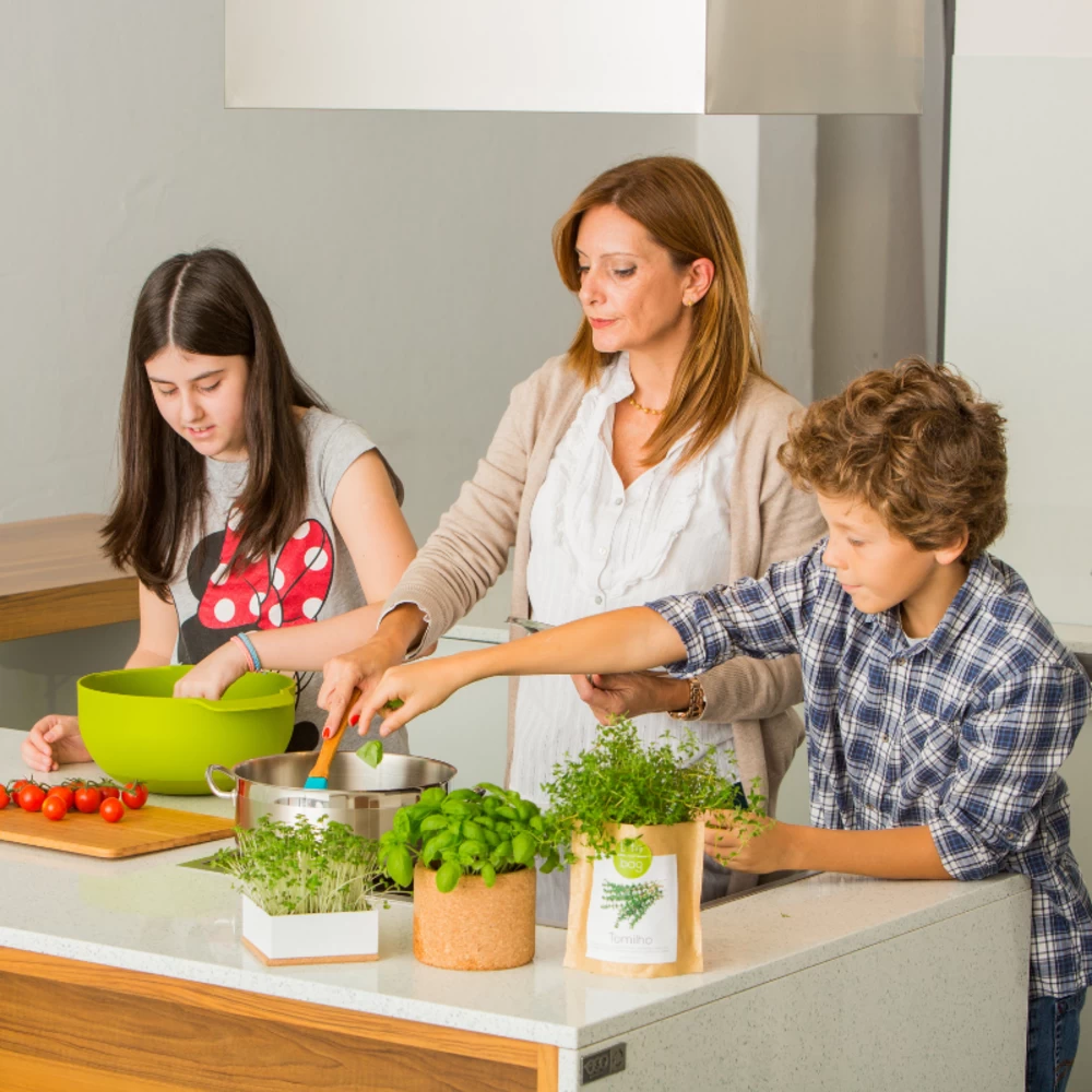 Kit Bio Prêt à Pousser Fraise 4 Kit Bio Prêt à Pousser Fraise – Image 2