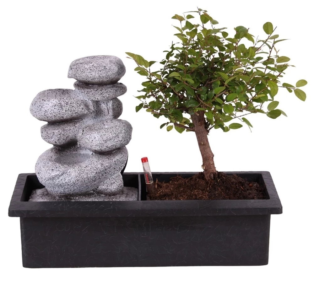 Set Bonsaï Et Cascade-pierres - Support L.30cm- H.25-30cm 3 Set Bonsaï Et Cascade-pierres - Support L.30cm- H.25-30cm