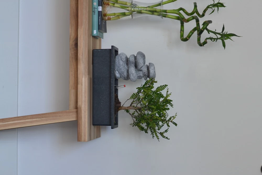 Set Bonsaï Et Cascade-pierres - Support L.30cm- H.25-30cm 6 Set Bonsaï Et Cascade-pierres - Support L.30cm- H.25-30cm – Image 4