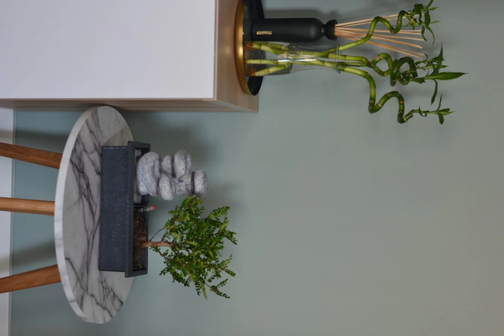 Set Bonsaï Et Cascade-pierres - Support L.30cm- H.25-30cm 5 Set Bonsaï Et Cascade-pierres - Support L.30cm- H.25-30cm – Image 3