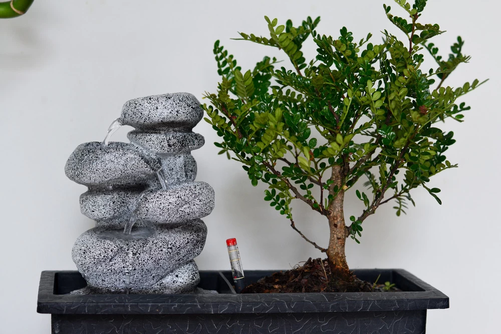 Set Bonsaï Et Cascade-pierres - Support L.30cm- H.25-30cm 8 Set Bonsaï Et Cascade-pierres - Support L.30cm- H.25-30cm – Image 6