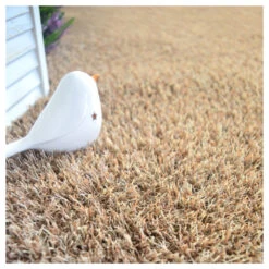 Gazon Synthétique Arty - Couleur Beige - 20mm - 2m X 10m