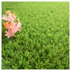 Gazon Synthétique Fontainebleau - 30mm - 1m X 9m -Flora Soldes 645d645d3244b6.85261918