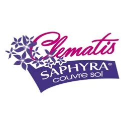Clématite Saphyra® Violetta "m32-10'/godet - 5/10 Cm 13 Clématite Saphyra® Violetta "m32-10'/godet - 5/10 Cm -Flora Soldes 645d8585385793.88311540