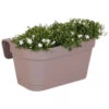 Campanula Addenda - Glockenblume Weiß - Balkonpflanzer Grau Mit 3 Campanula Im 12cm Topf - Inkl. Aufhängesystem - Winterharte Staude -Flora Soldes 64622996936064.58281268